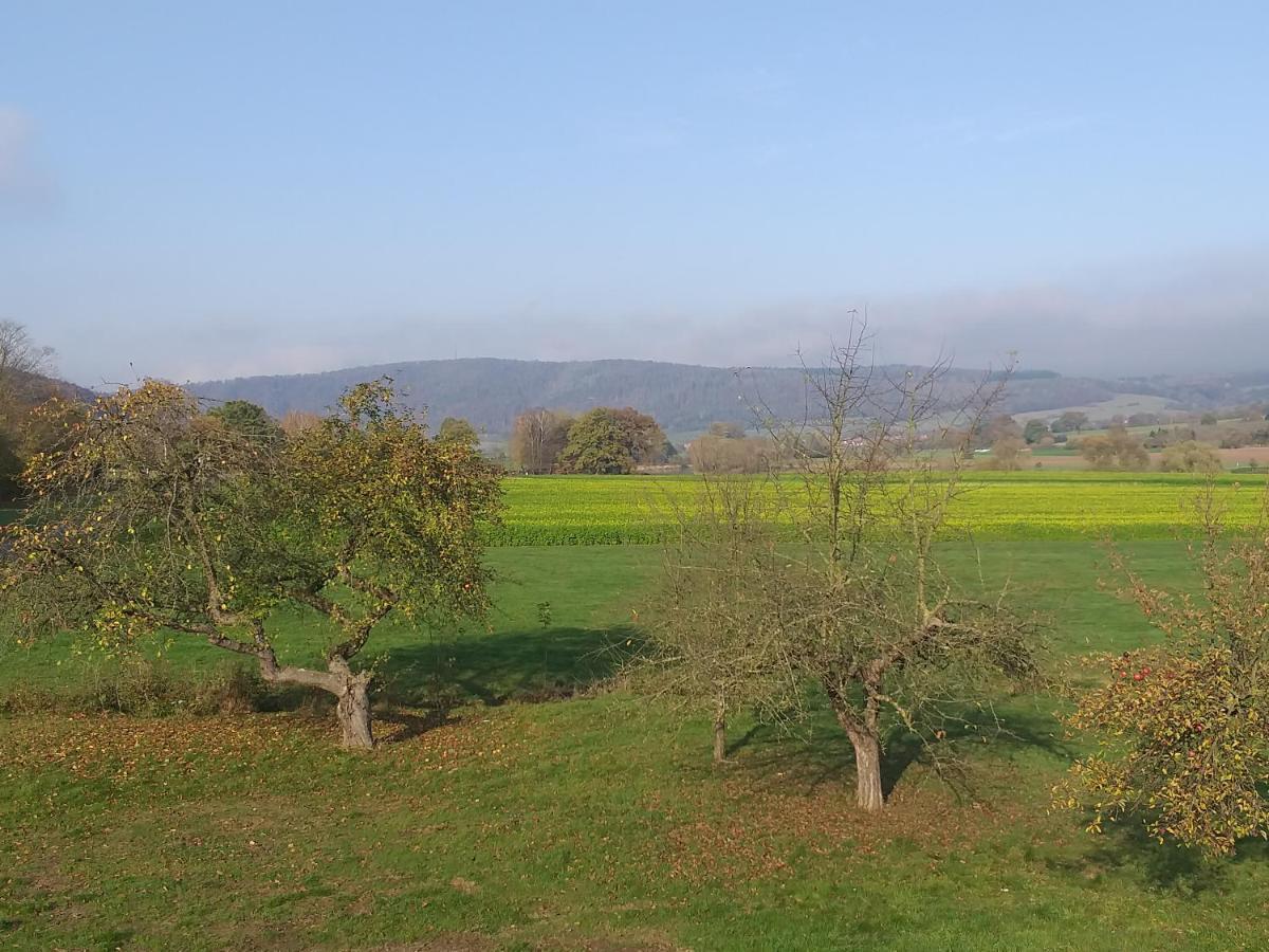 Ferienwohnungen Zum Lindenwirt Oberweser Exteriér fotografie